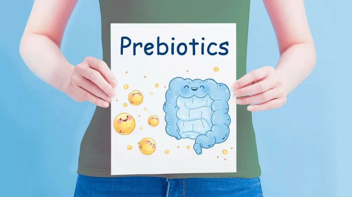Бактерии добавки. Пробиотики. Пребиотики. Пробиотики и пребиотики. Пребиотики и пробиотики для кишечника.