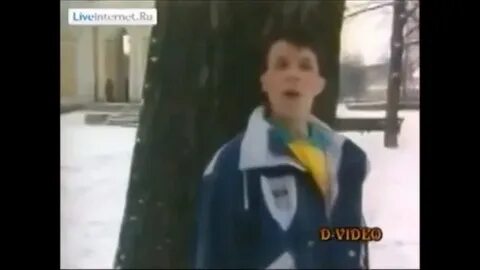 Старый лес разин