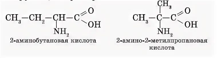 Составить формулу бутановой кислоты. Формула 2 Амино 2 метилпропановой кислоты. 2-Амино-2-метилпропановой кислоты. 2 Аминобутановая кислота и 2 Амино 2 метилпропановая кислоты. 2 Амино 2 метилпропановая кислота структурная формула.