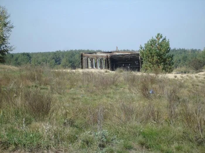 Опушка соснового леса. Деревня инютино нижегородская область. Луговое нижегородская область. Улица луговая , деревня инютино. Село луговое.