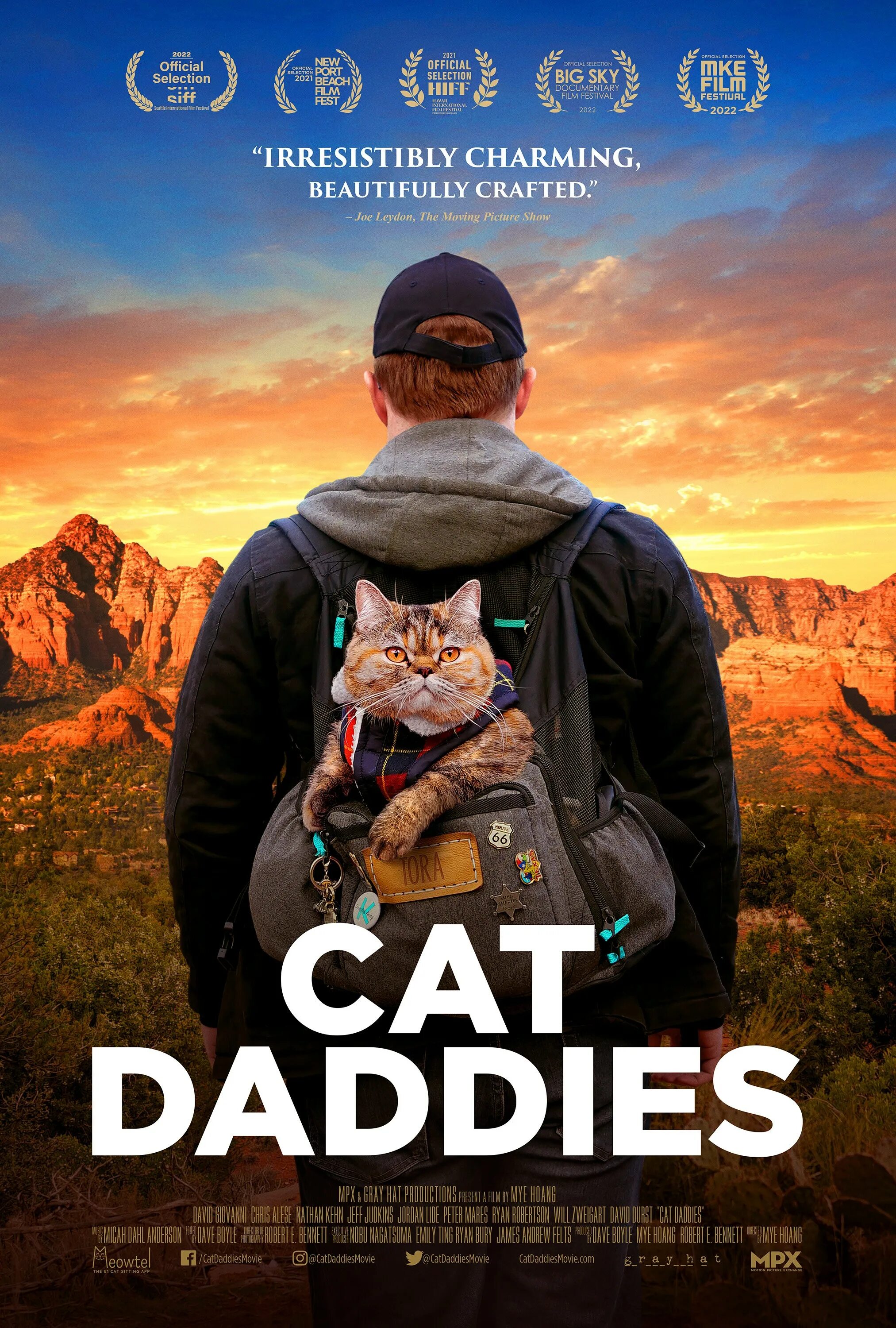 Постеры с котиками. Daddy Cat. Cat daddy