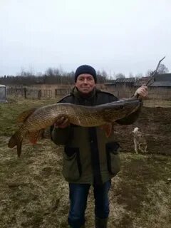Погода пашозеро