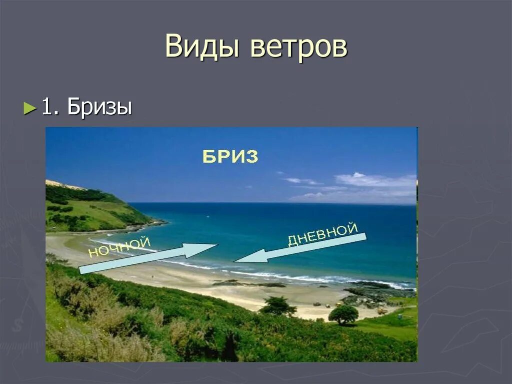 Бриз меняет направление дважды. Бриз ветер. Виды ветров. Дневной Бриз. Ветер Бриз и Муссон.