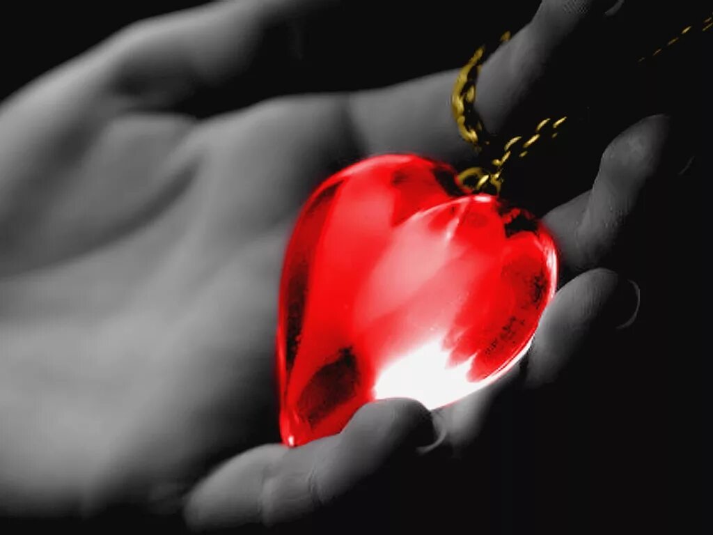 бейся сердце время биться. сироткин бейся сердце. ты моё сердце. моё сердце бьётся. бьющее сердце.