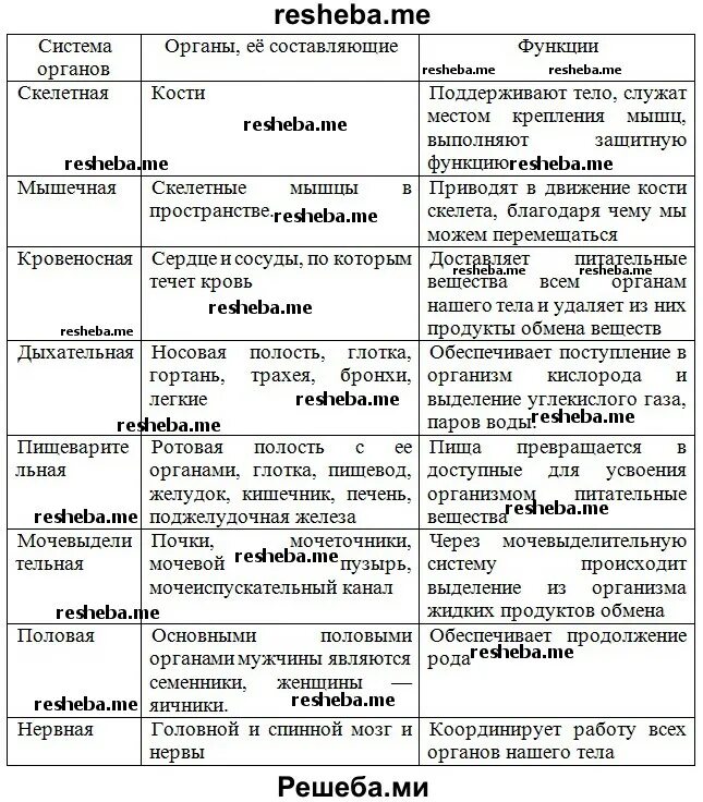 Таблица системы органов человека 8 класс. Органы и системы органов таблица 8 класс биология. Система органы и функции таблица 8 класс биология. Система органов органы функции таблица по биологии 7 класс. Системы органов человека состав и функции