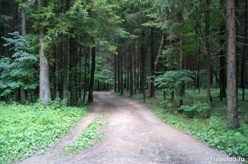 парк ларисы лазутиной в одинцово. лазутинская трасса в одинцово. спортивный парк ларисы лазутиной. парк ларисы лазутиной в одинцово. парк ларисы лазутиной в одинцово.