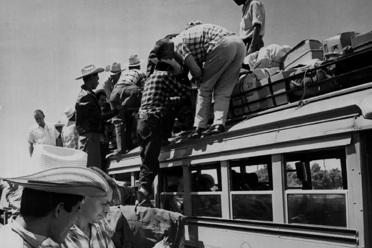 Массовое выселение 1980 года. 1954 Год события в Америке. Депортация из Мексики фото. Мексиканский пограничник депортация. Депортация в пулково