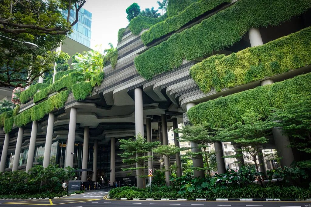 Большое зеленое г. Каучуконос в Сингапуре. Сингапур жилые кварталы. Сингапур здание Crest. Park Royal on Pickering Сингапур.