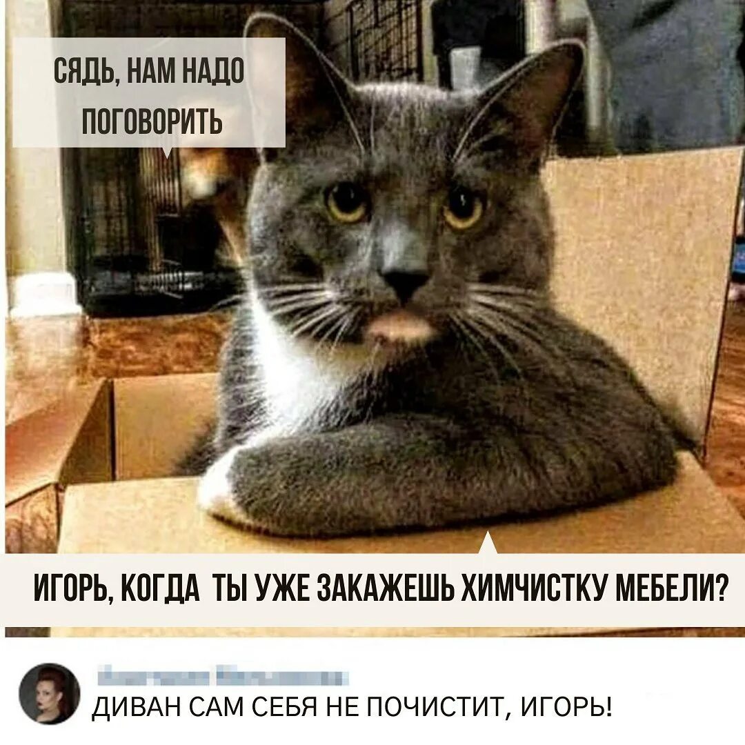 Присядьте как пишется. Как правильно говорить сесть или присесть. Как правильно сказать садитесь или присаживайтесь. Смешные картинки со словами до слез. Сядь говорю.