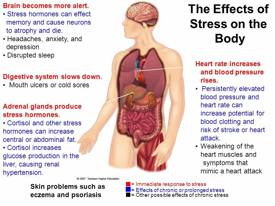 Effects of stress. Stress Effect on body. The Symptoms of stress картинки. Stress causes and Effects. Effect o