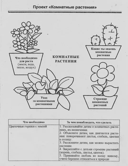 Планирование цветы средняя группа. Лексическая тема комнатные растения в старшей группе. Логопедические домашние задания комнатные растения средняя группа. Логопедические задания по теме комнатные растения для дошкольников. Комнатные растения Нищева старшая группа.