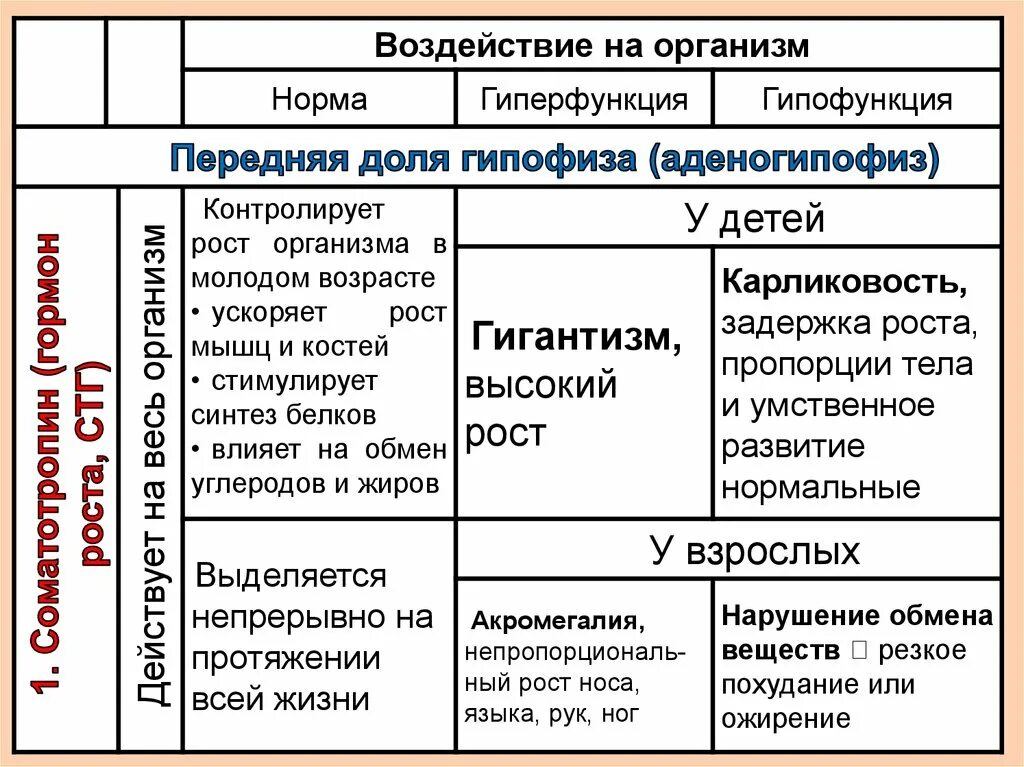 Таблица гиперфункция и гипофункция. Гонадотропный гормон гиперфункция и гипофункция. Окситоцин гиперфункция и гипофункция. Окситоцин гормон гипофункция и гиперфункция. Тималин гиперфункция и гипофункция.