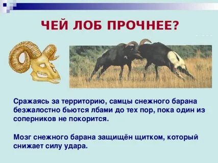 Составить план стихотворения бараны 1 класс