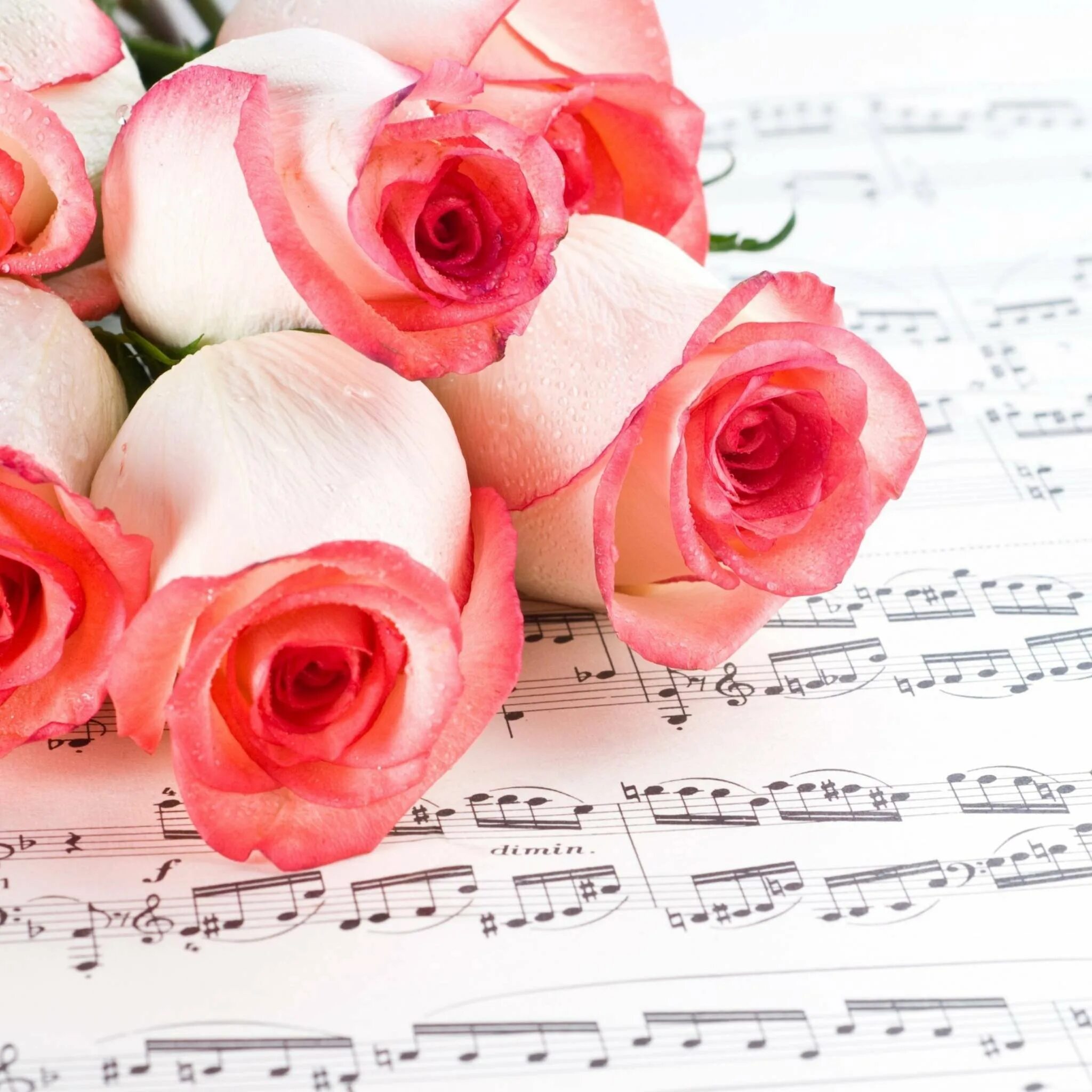 Музыкальный юбилей. Ноты и цветы. Цветы для музыканта. Открытка музыканту. С днем рождения учителю музыки.