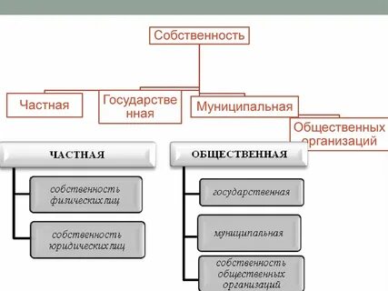 Общественная собственность признаки