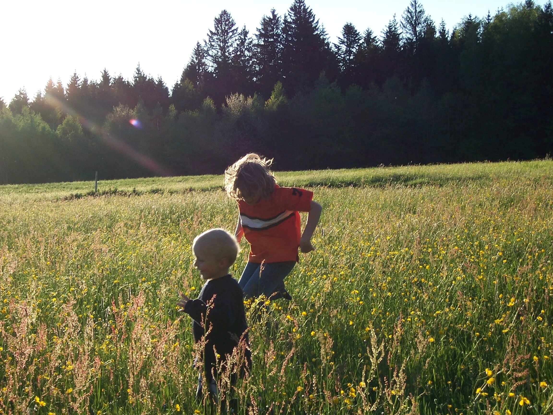 Field children. Дети на лугу. Дети в поле. Дети летом на лугу. Луговое поле для детей.