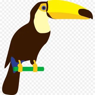 Toucan for kids