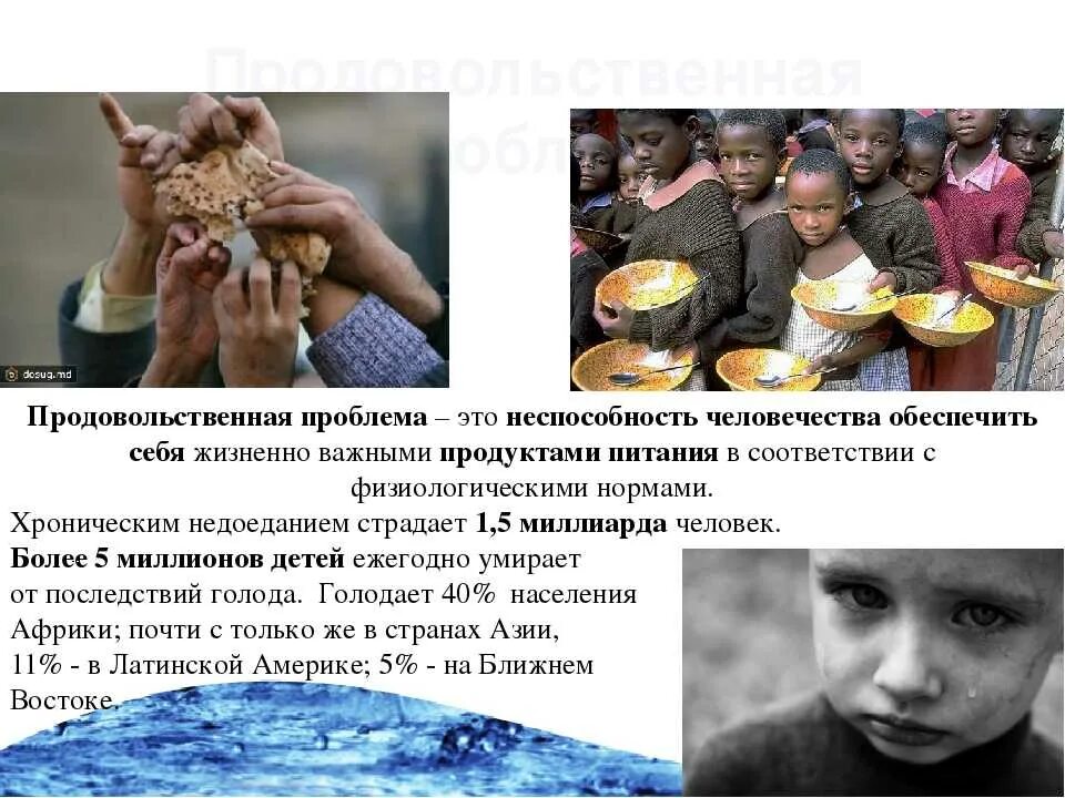 Проблема мирового голода. Продовольственная проблема. глобальная проблема продовольствия. глобальная проблема голода. продовольственная проблема проблема.