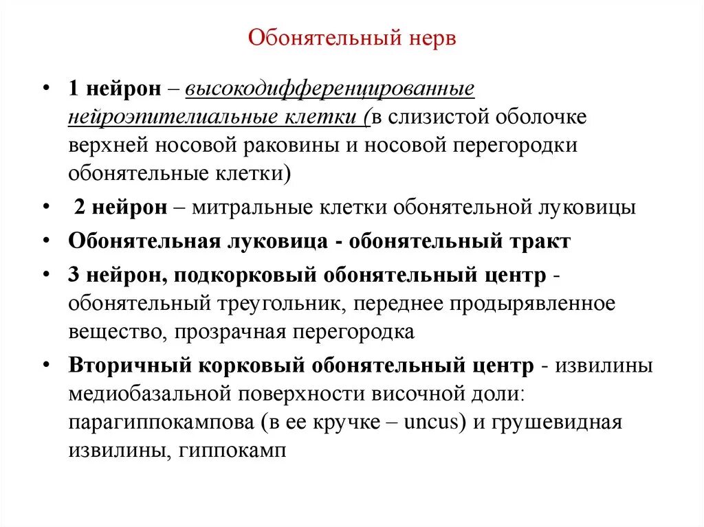 Обонятельный ход. Обонятельный нерв анатомия кратко. Обонятельный нерв схема неврология. Чувствительный нерв обонятельного анализатора. Функциональная характеристика обонятельного нерва.