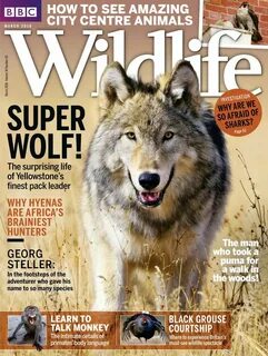 Bbc wildlife