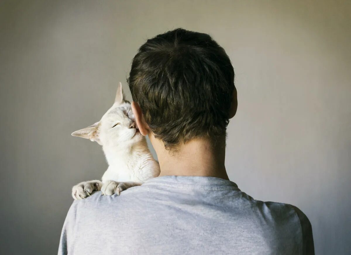 Мужчина с кошкой. Кот на плече. Кошка сидит на плече. Мужчина с котом на плече. His cat likes