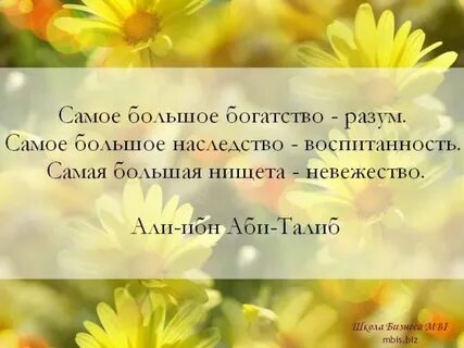 Большое наследство