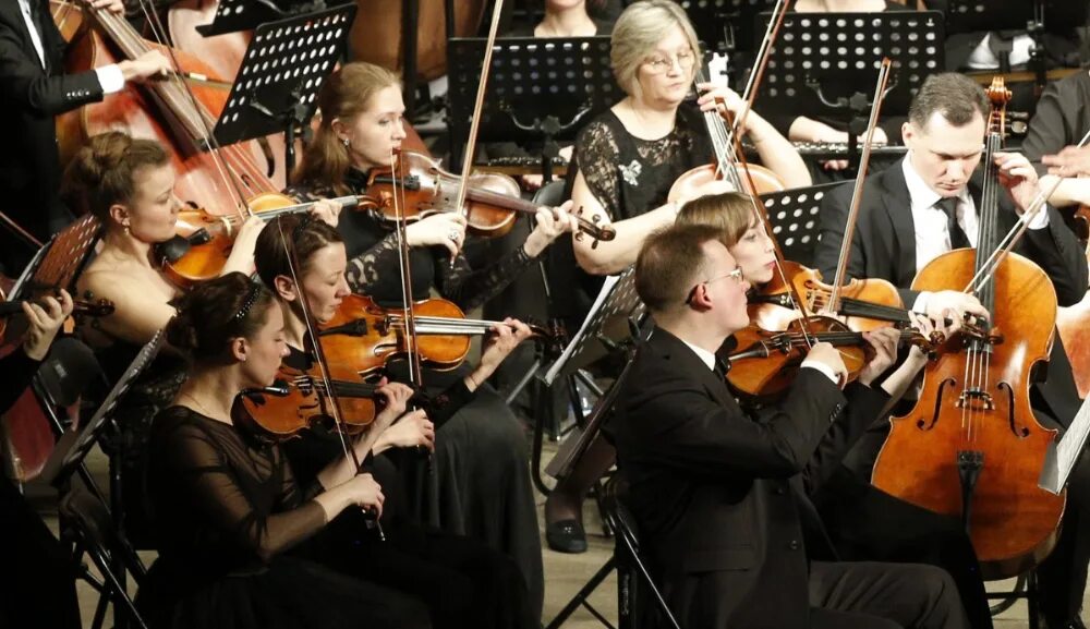 Берлинский филармонический оркестр скрипачи. Будапештский филармонический оркестр. Концерт для арфы с оркестром. Скрипка в симфоническом оркестре. Инструмент симфонического оркестра альт.
