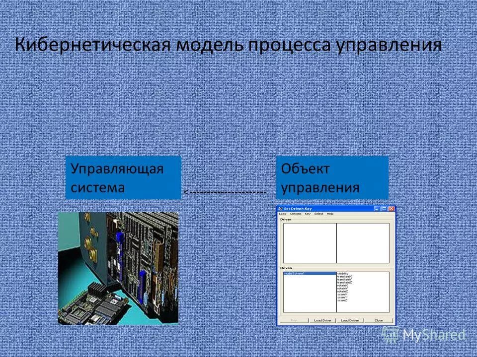 3 искусственных системы