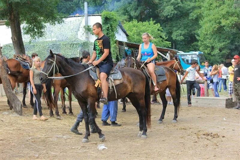 Сукко конные прогулки. Конные прогулки анапа сукко. конные прогулки в долине сукко анапа. конные прогулки сукко. конные прогулки в долине сукко.