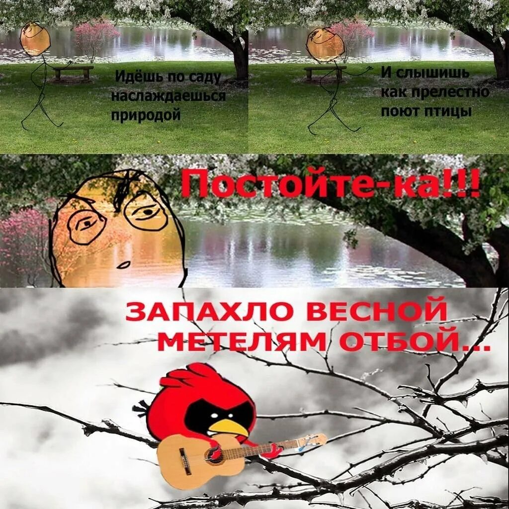 Птицы поют запахло весной. Мемы про весну.