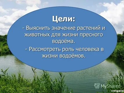 Океан пресный водоем