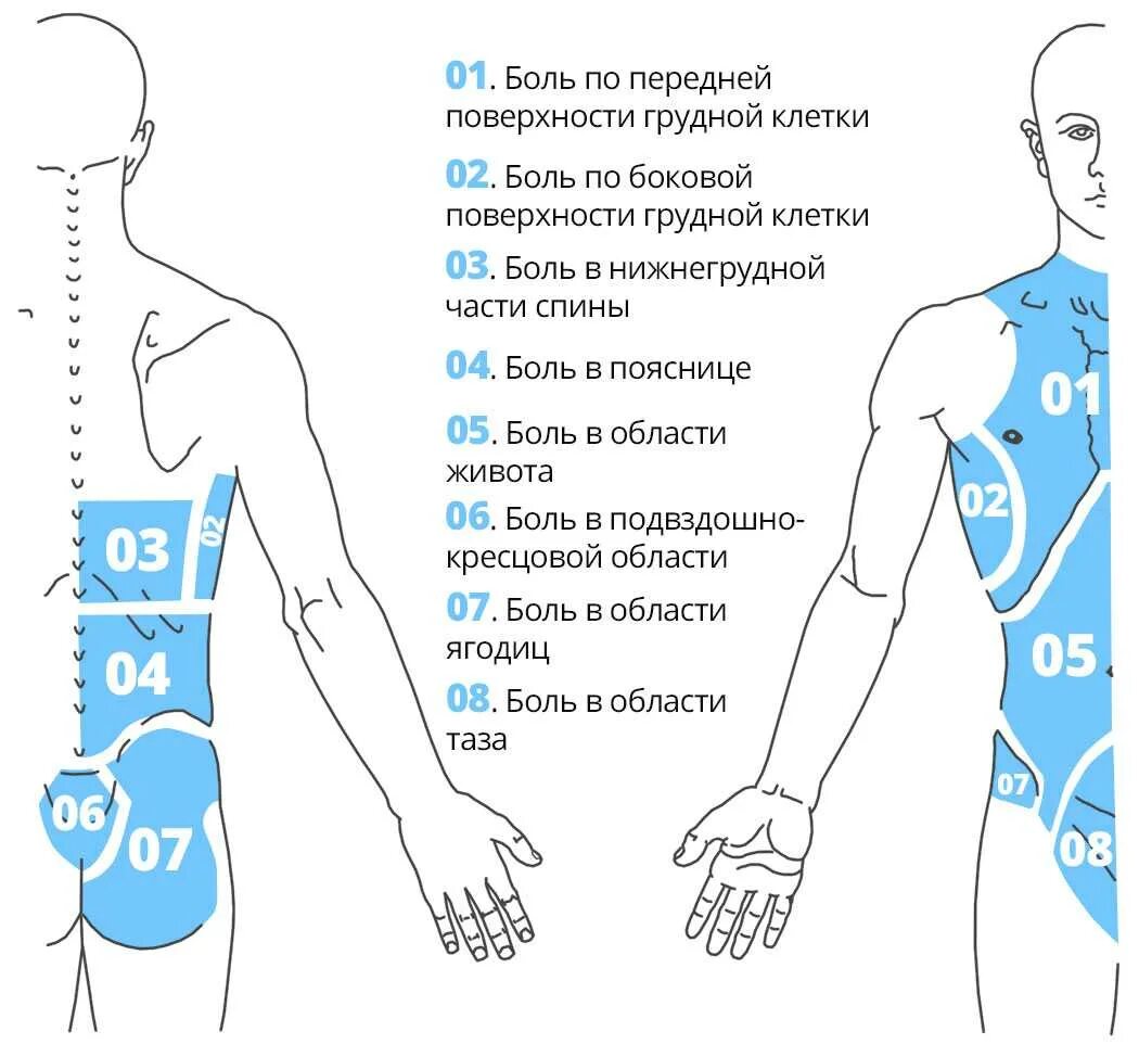 Болит спина слева у мужчин. Болит точка сбоку позвоночника. Локализация боли в спине. Боли в области туловища. Карта боли в спине.