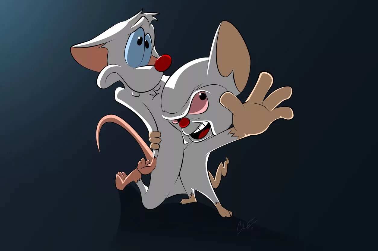 Pinky and brain. Пинки и Брейн. Мыши из мультика Пинки и Брейн.