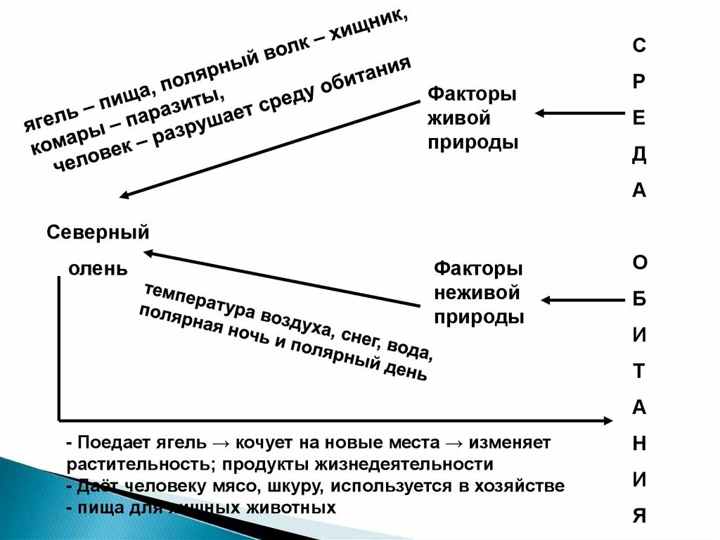 Примеры влияния факторов на живые организмы. Влияние экологических факторов на организмы. Влияние экологических факторов среды на организмы. Экологические факторы и их влияние на живые организмы. Влияние факторов живой природы на организм