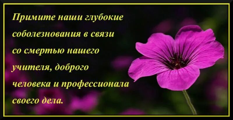 Умершей учительнице
