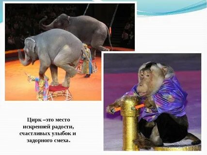 Рассказ про цирк