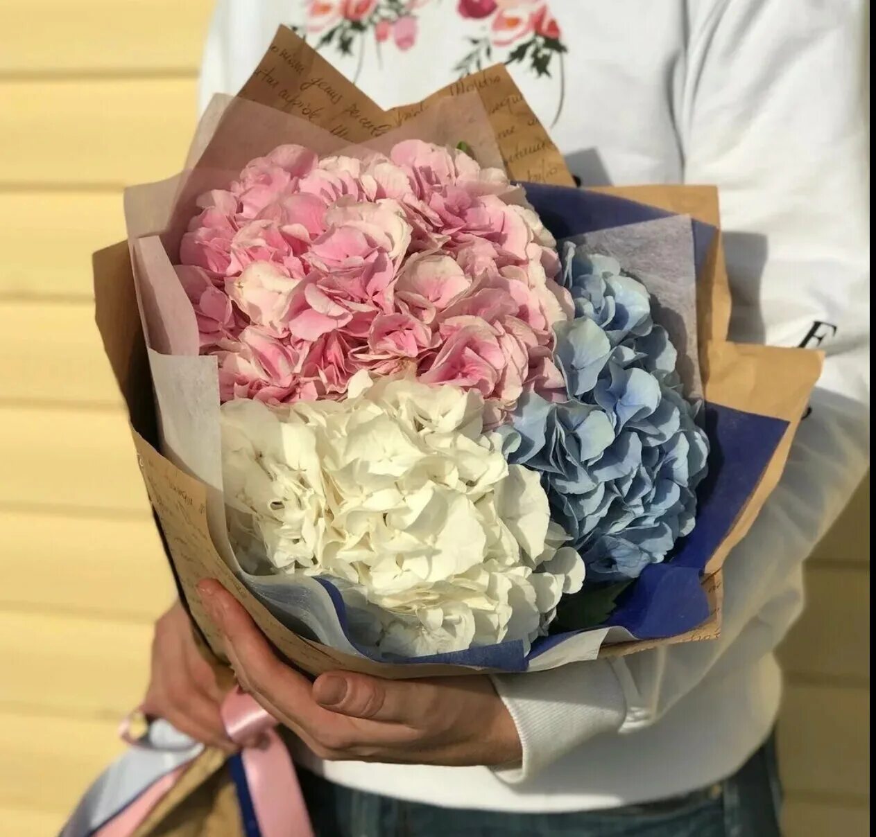 Купили гортензию в коробке что делать