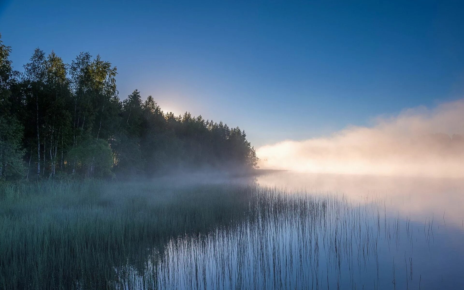 Озеро Леушинский туман. Туманное озеро Ленинградская область. Озеро туман ХМАО. Озеро Леушинский туман ХМАО. В тумане есть вода