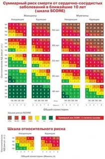 Сердечно сосудистый риск высокий что значит
