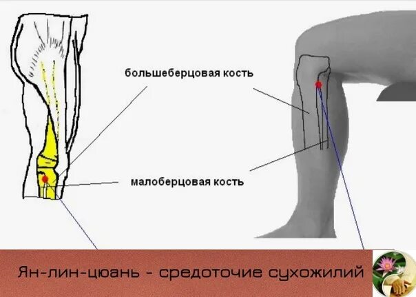 Точки устья. Vb 34 точка.