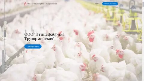 Номер телефона птицефабрики