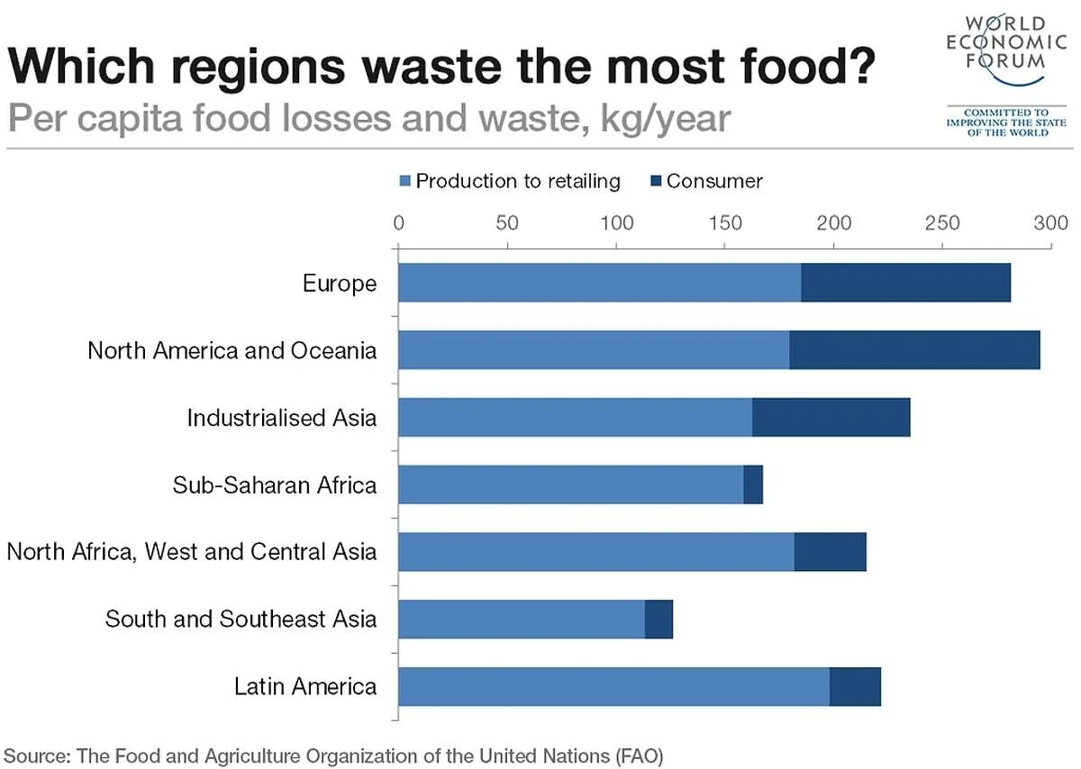 Countries the most waste food. Food waste statistics. Food waste losses in the World. Food problem in the World. World s problems