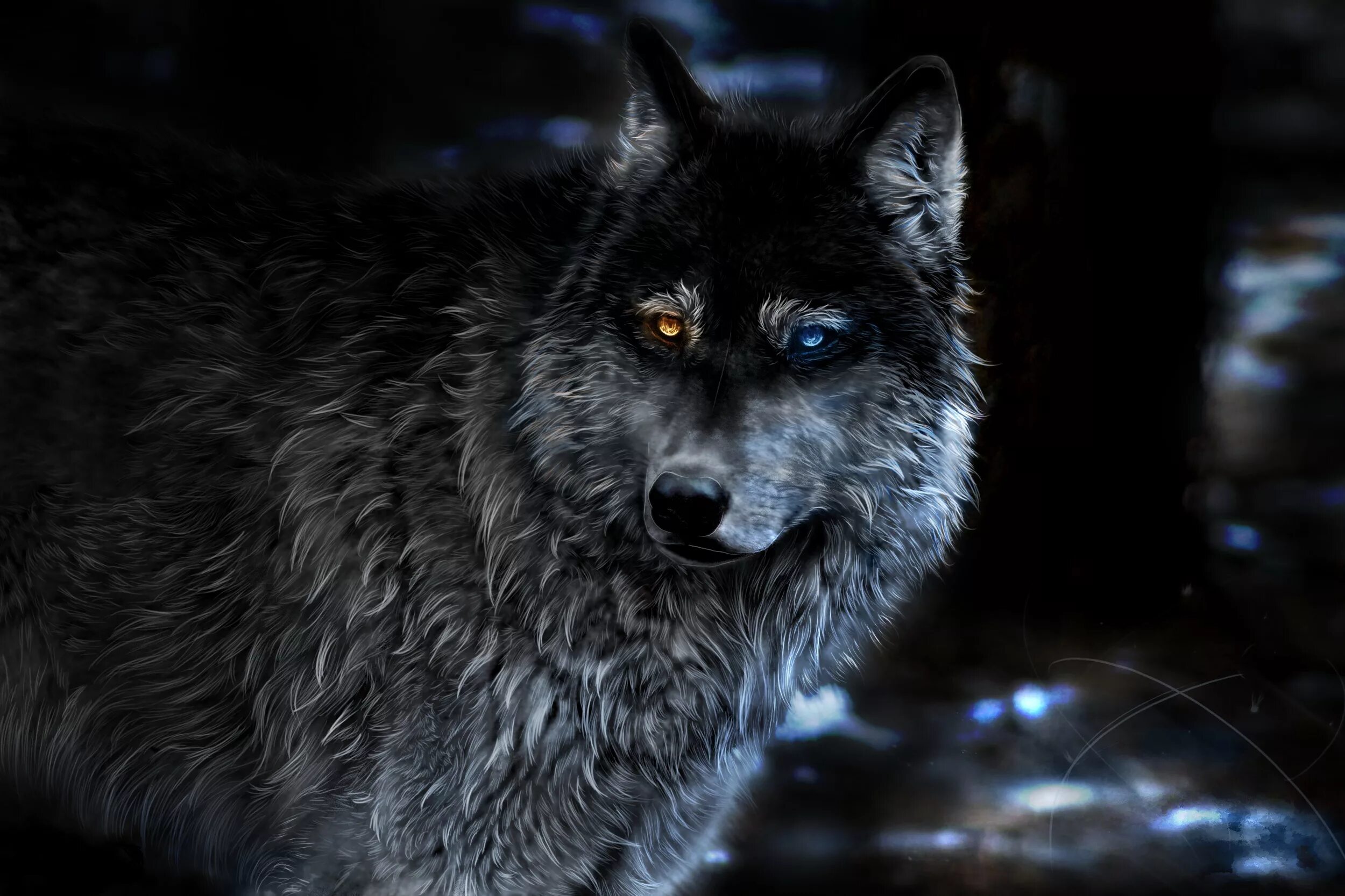 Wolf gaming wallpapers. Desktop Fantasy Wolf Heterochromia Animals.