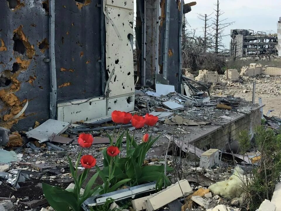 Песня не вырастут цветы на выжженной. Руины аэропорта Донецк. Донбасс до войны 2014 аэропорт. Донецкий аэропорт 2014.