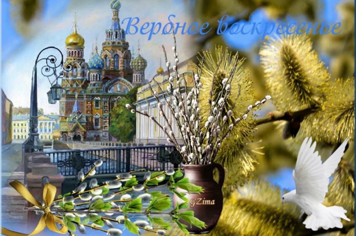 Верба для ватсап. С вербным воскресеньем. верба. с вербным воскресеньем открытки. поздравить с вербным воскресеньем.