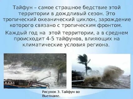Тайфун текст