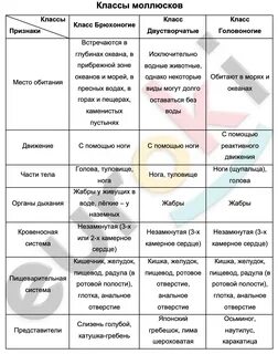 Таблицa Моллюски (классы моллюсков) Биология 7 класс заполнена ✅