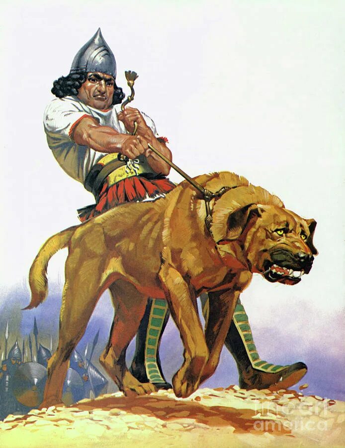 неолитическая революция земледелие. молосские боевые псы. индийские псы охраняющие путь в мир предков. индийское искусство собака. индийские псы охраняющие путь в мир предков.