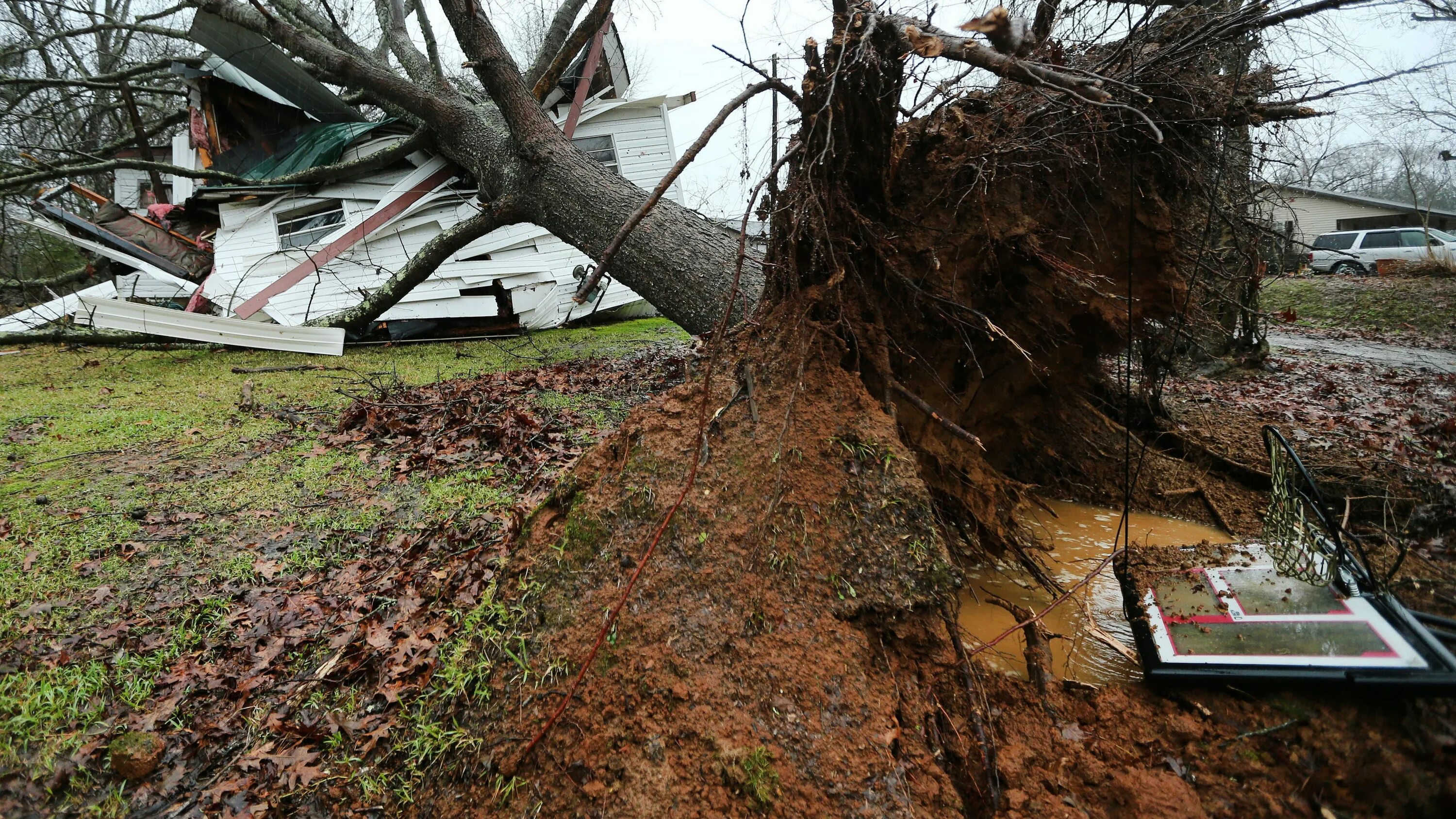 Последствия сильного ветра. Разрушения от урагана. Деревья после смерча.