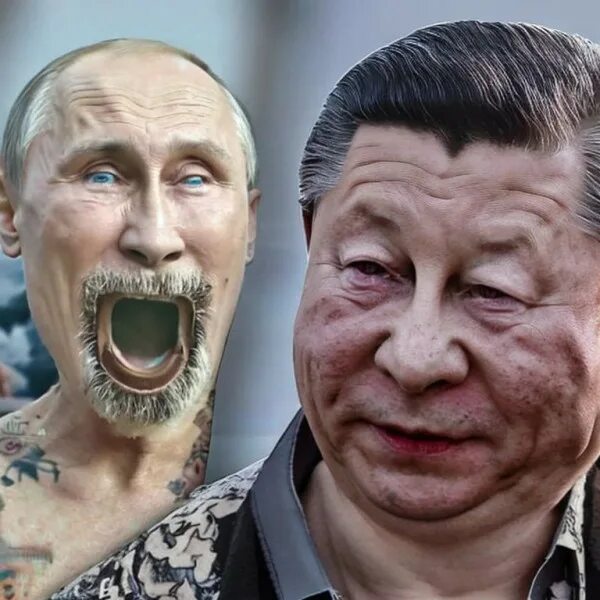 Колыбельная хюррем слова. Гойда мемы картинки. Гойда что это значит. Гойда что это значит. Колыбельная хюррем текст.